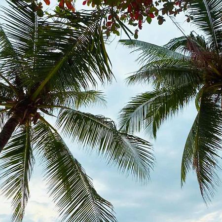 Balabag  The Muse Hotel Boracay מראה חיצוני תמונה