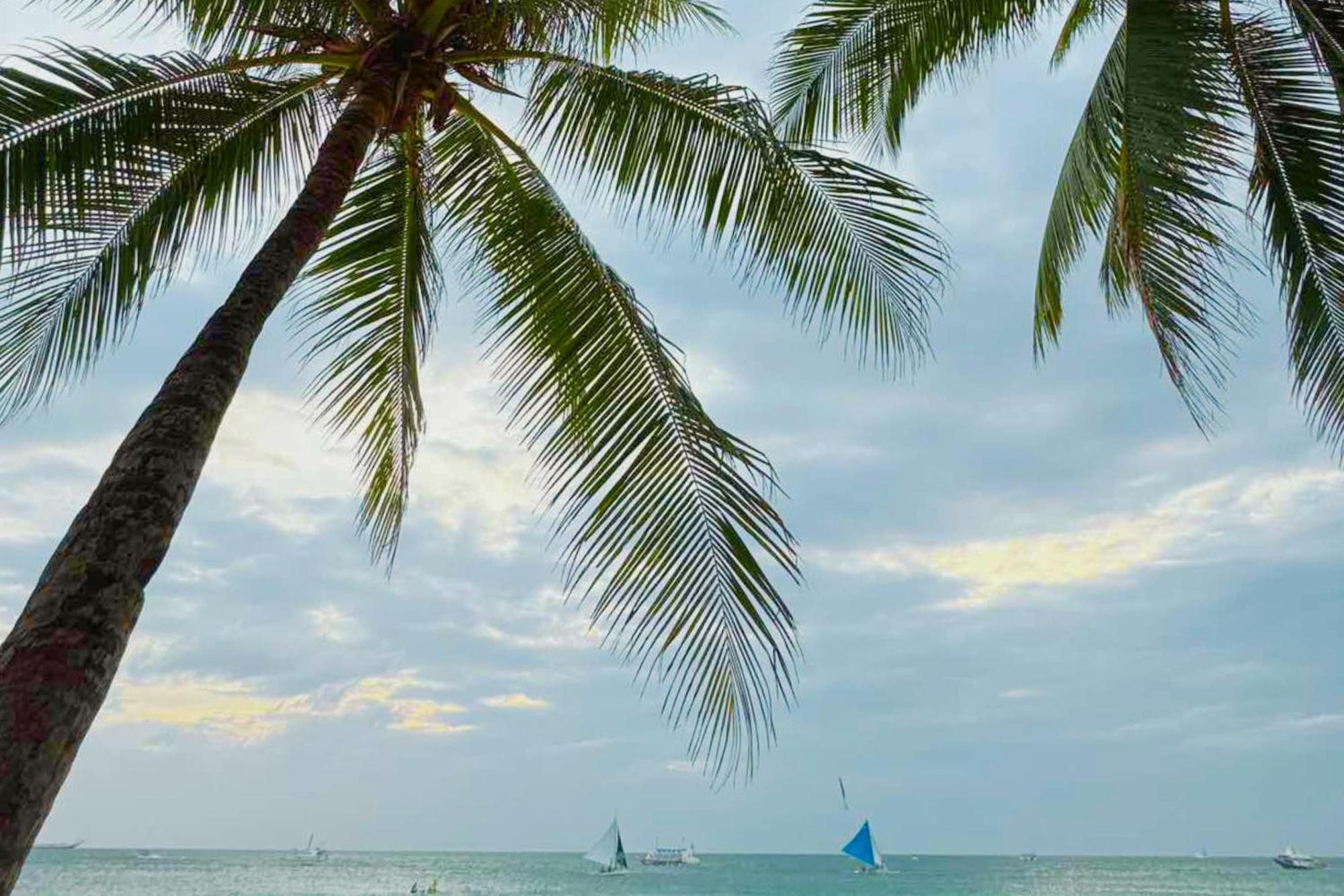 Balabag  The Muse Hotel Boracay מראה חיצוני תמונה